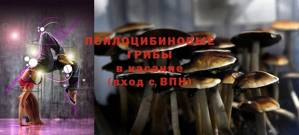 а пвп мука Козловка