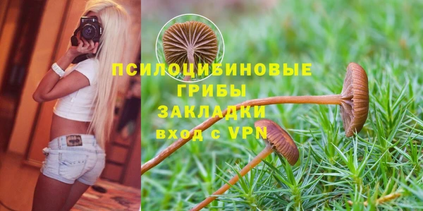 кокс Корсаков