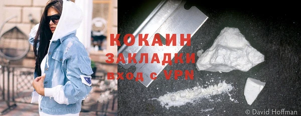 индика Киренск