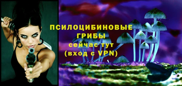 тгк Кодинск